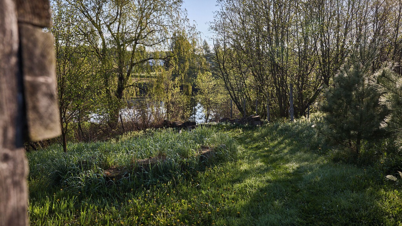 Photo of Outdoor in Mauricie