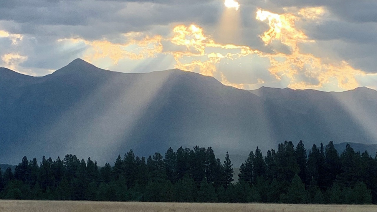 Photo of Others in East Kootenay