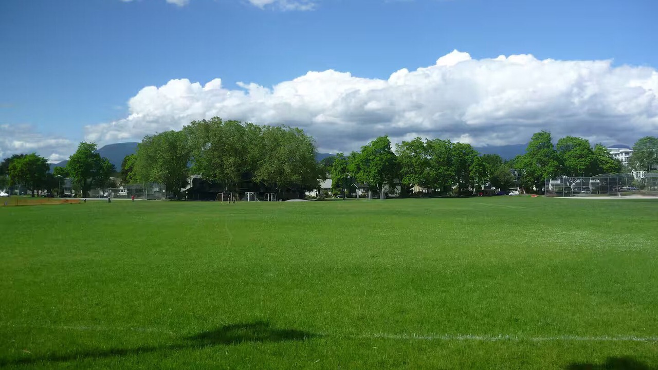 Photo of Others in Kitsilano