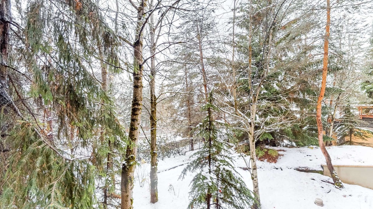 Photo of Outdoor in Whistler Village