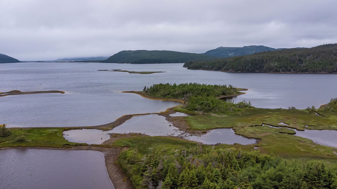 Photo of Outdoor in Placentia