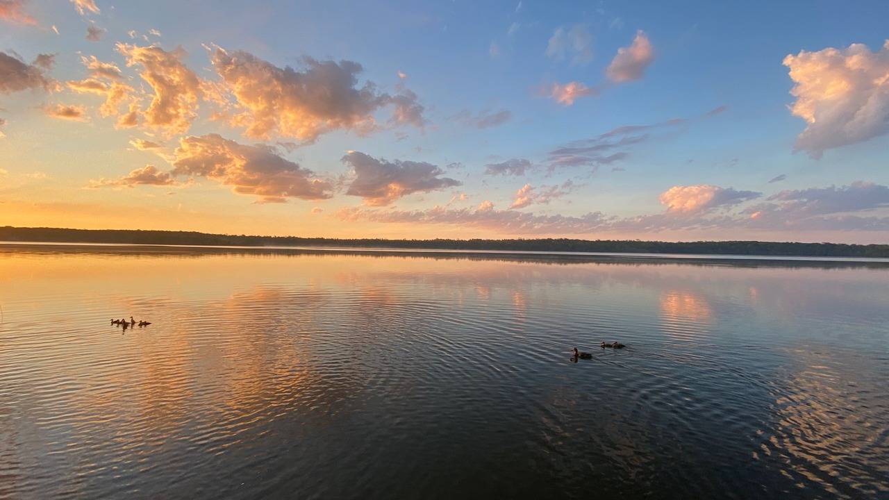 Photo of Others in Miller Lake