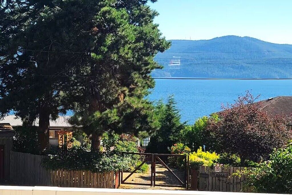 Photo of Outdoor in Brew Bay