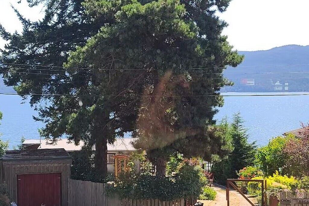 Photo of Outdoor in Brew Bay