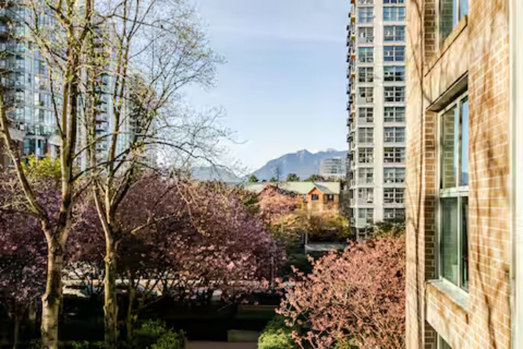 Photo of Outdoor in Central