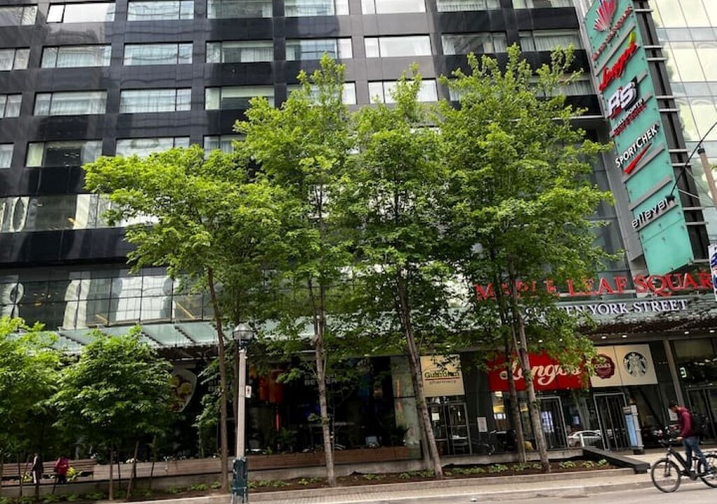 Photo of Outdoor in Toronto Entertainment District