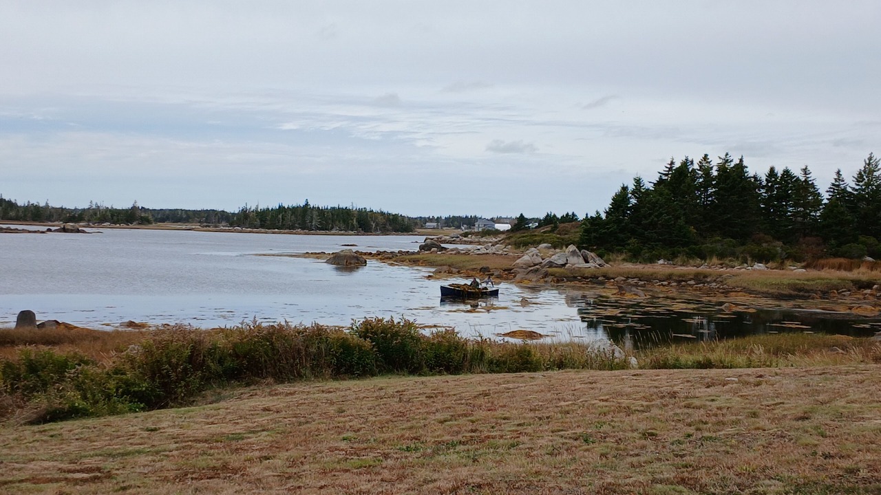 Photo of Others in Shag Harbour