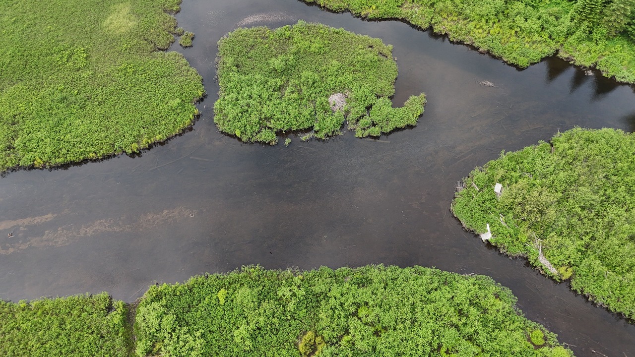 Photo of Outdoor in Mauricie