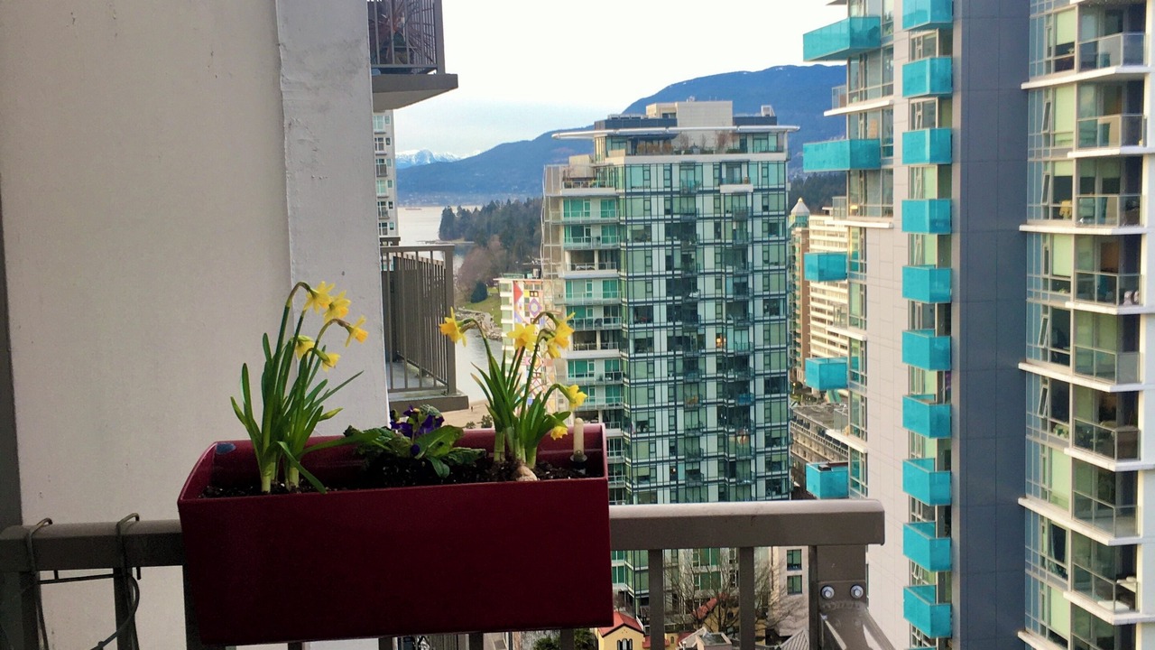 Photo of Outdoor in West End