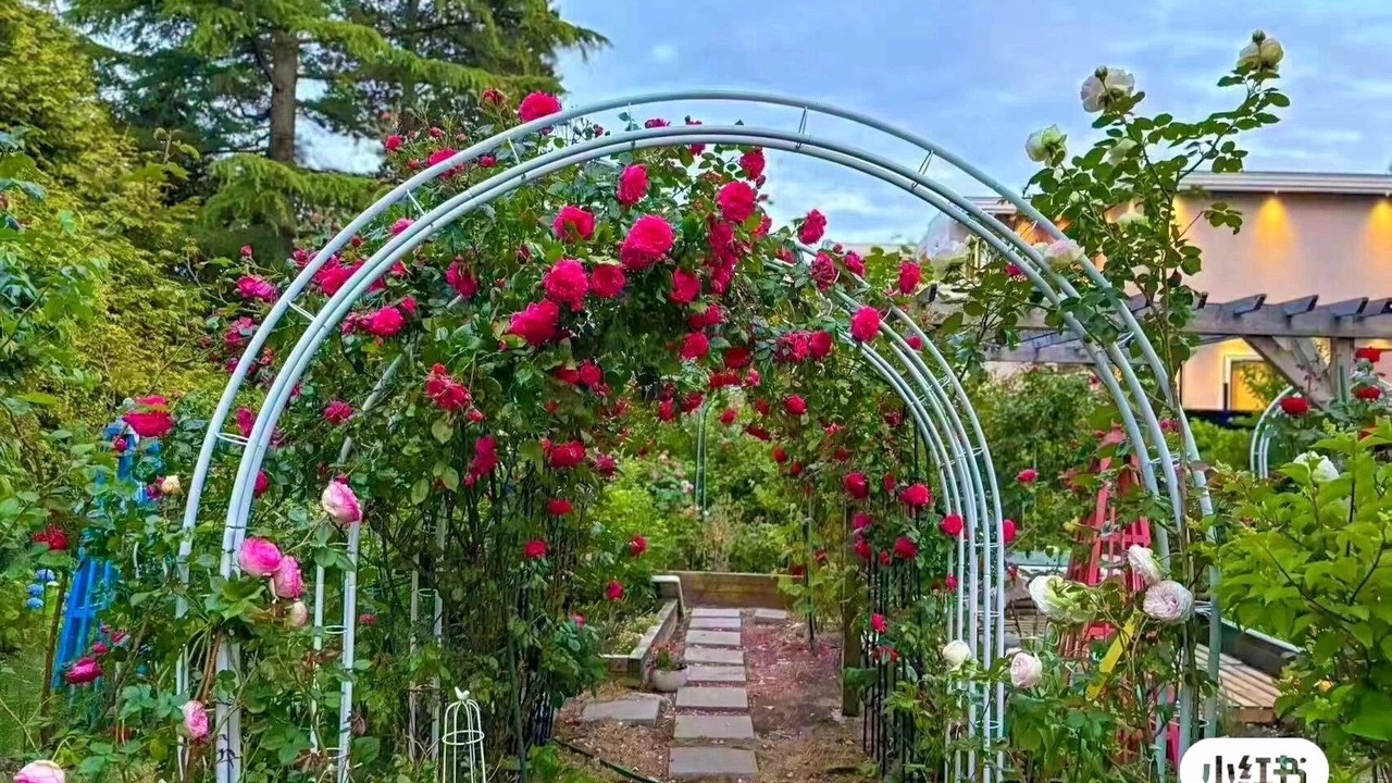 Photo of Outdoor in Surrey