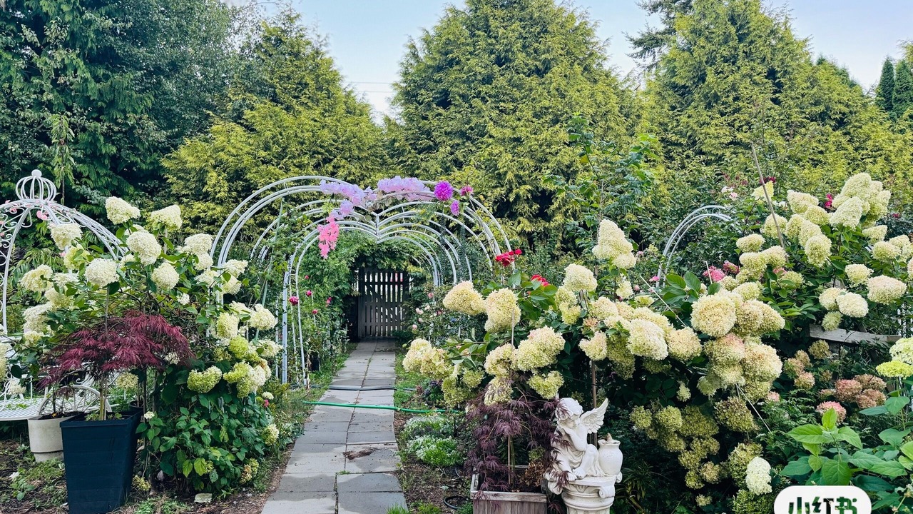 Photo of Outdoor in Surrey