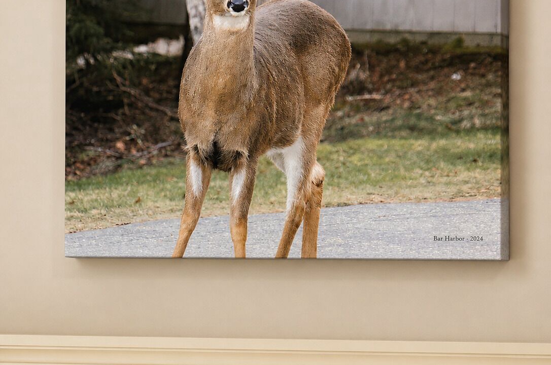 Photo of Others in Orono