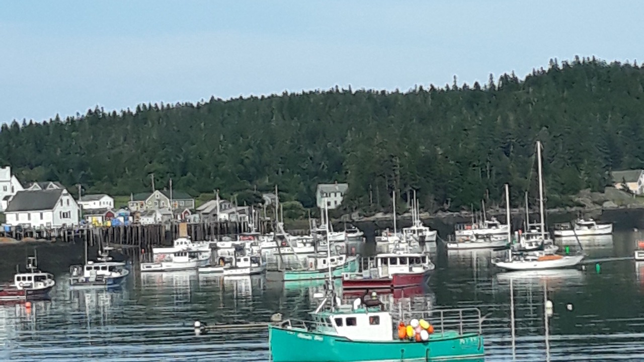Photo of Others in Cutler