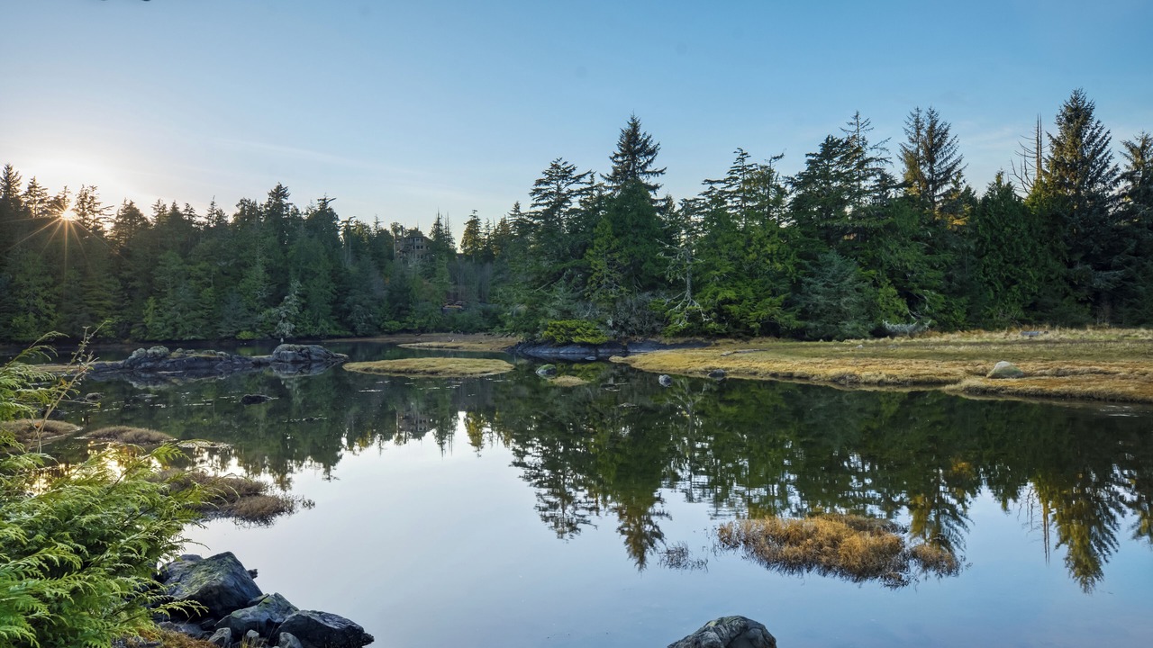 Photo of Others in Ucluelet