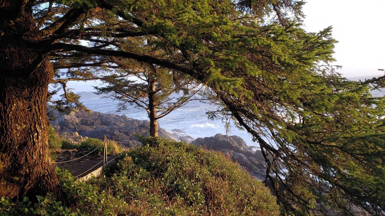 Photo of Others in Ucluelet
