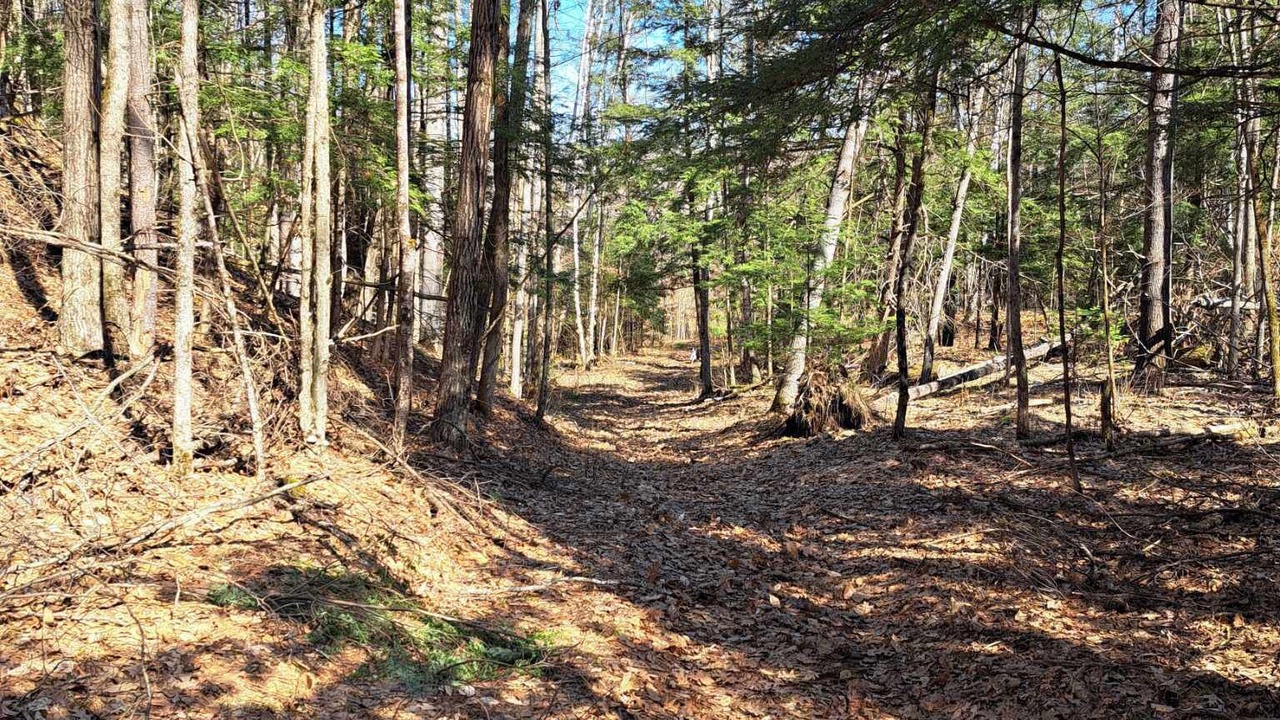 Photo of Others in Havelock-Belmont-Methuen