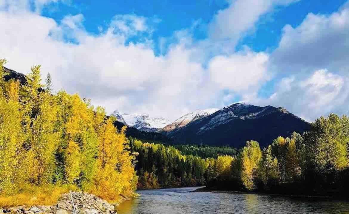 Photo of Others in West Fernie