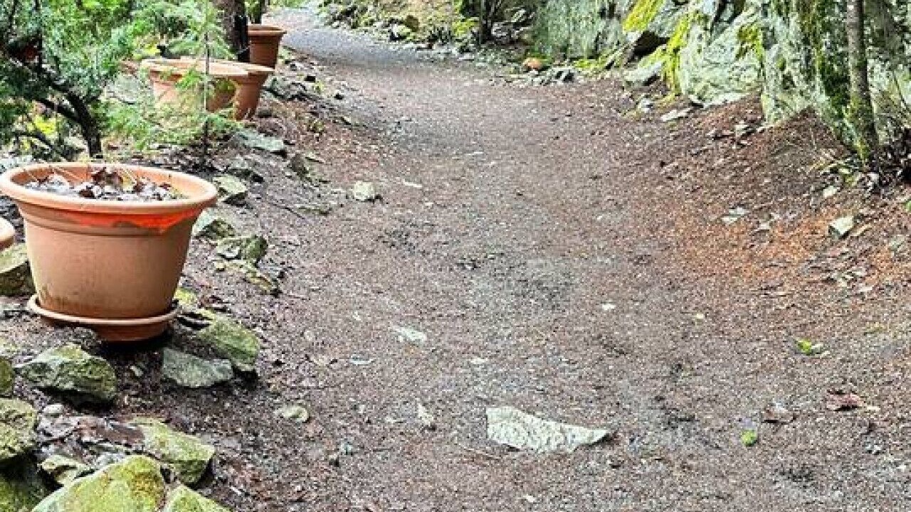 Photo of Others in Whistler Creekside