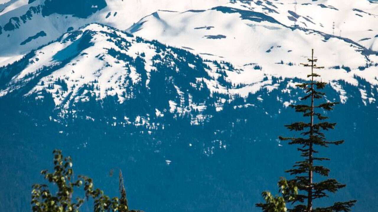 Photo of Others in Whistler Creekside