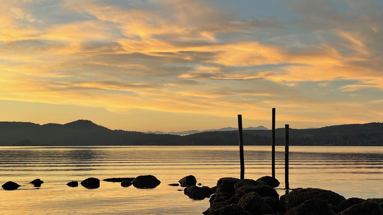 Photo of Others in Sooke
