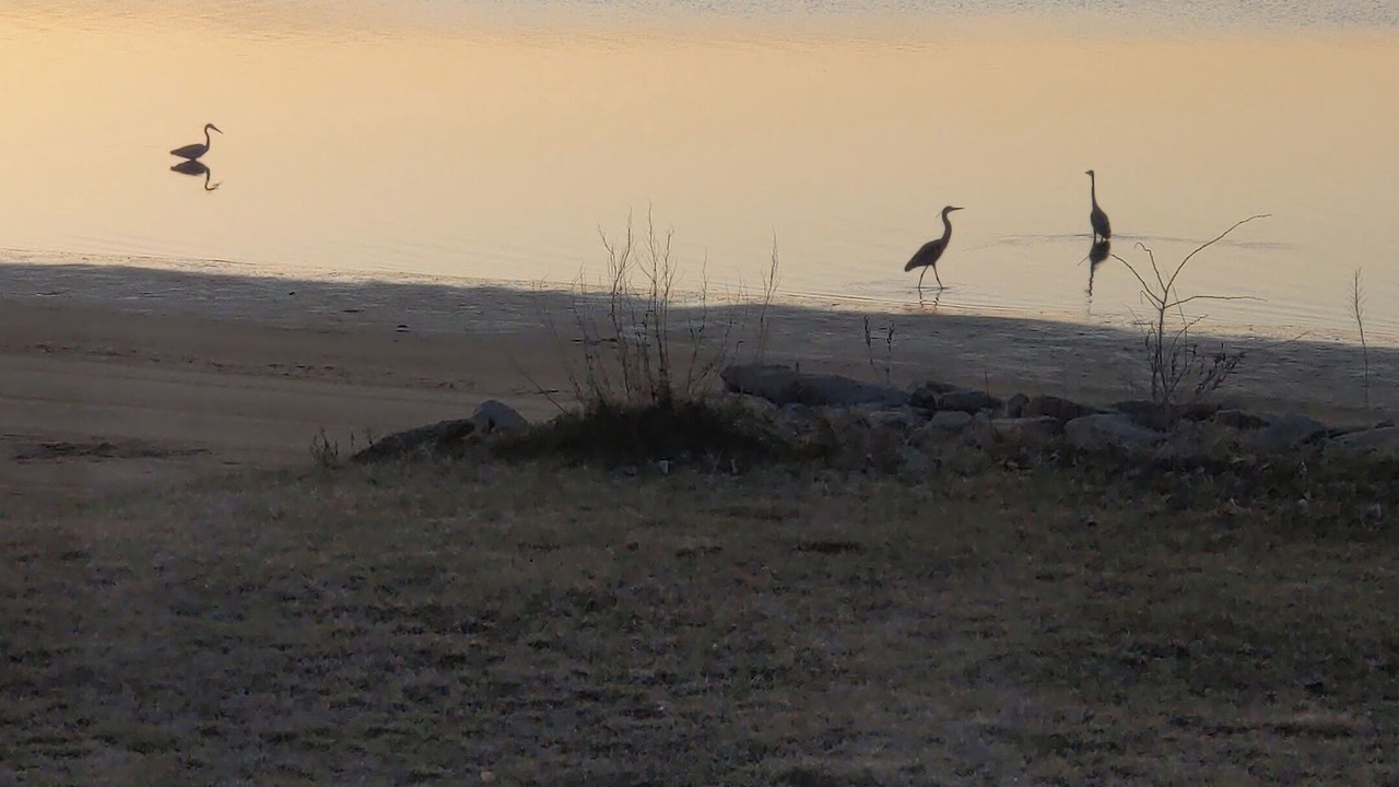 Photo of Others in Sainte-Anne-de-Kent