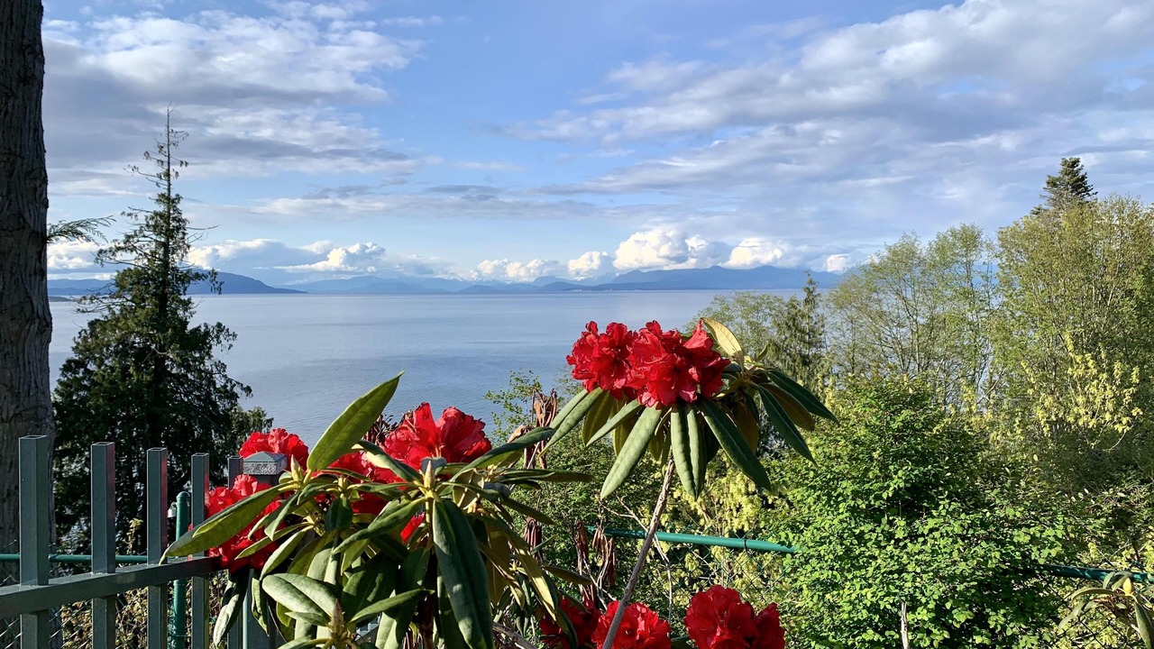 Photo of Outdoor in Regional District of Nanaimo