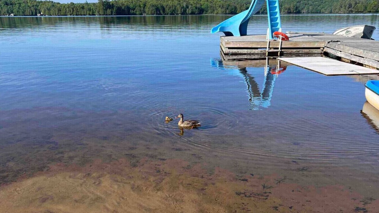 Photo of Others in Magnetawan