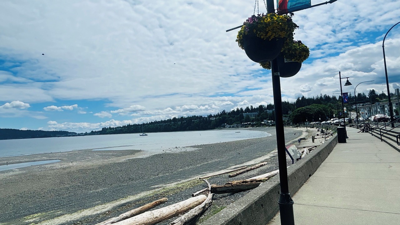 Photo of Others in Departure Bay