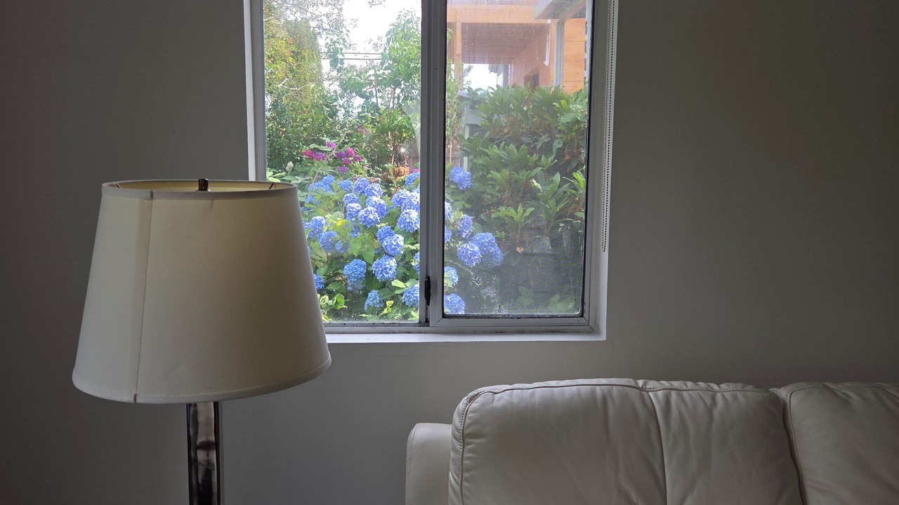 Photo of Livingroom in Knight