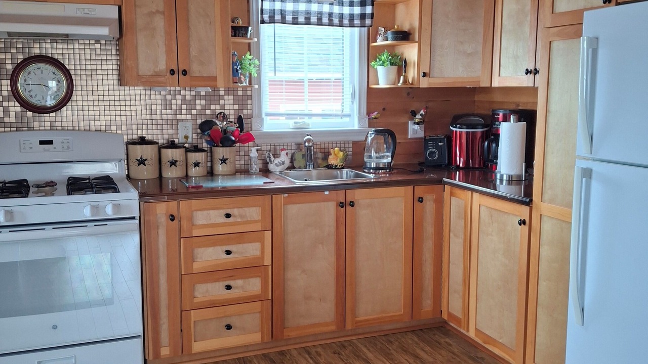 Photo of Kitchen in Terra Nova