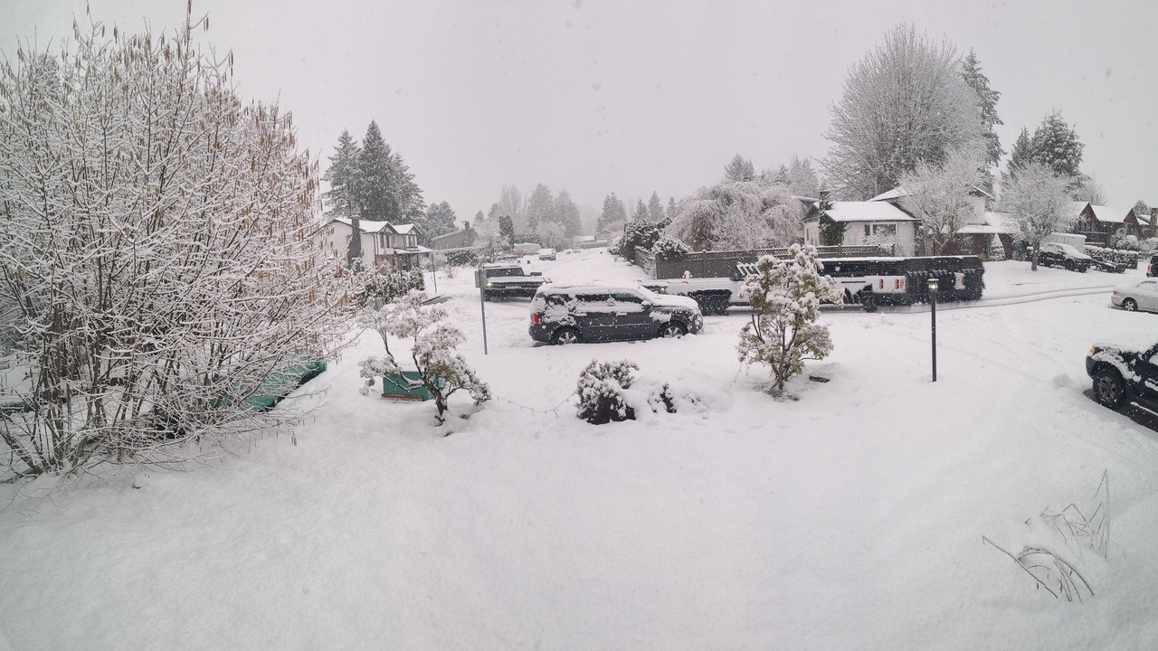 Photo of Others in Maple Ridge