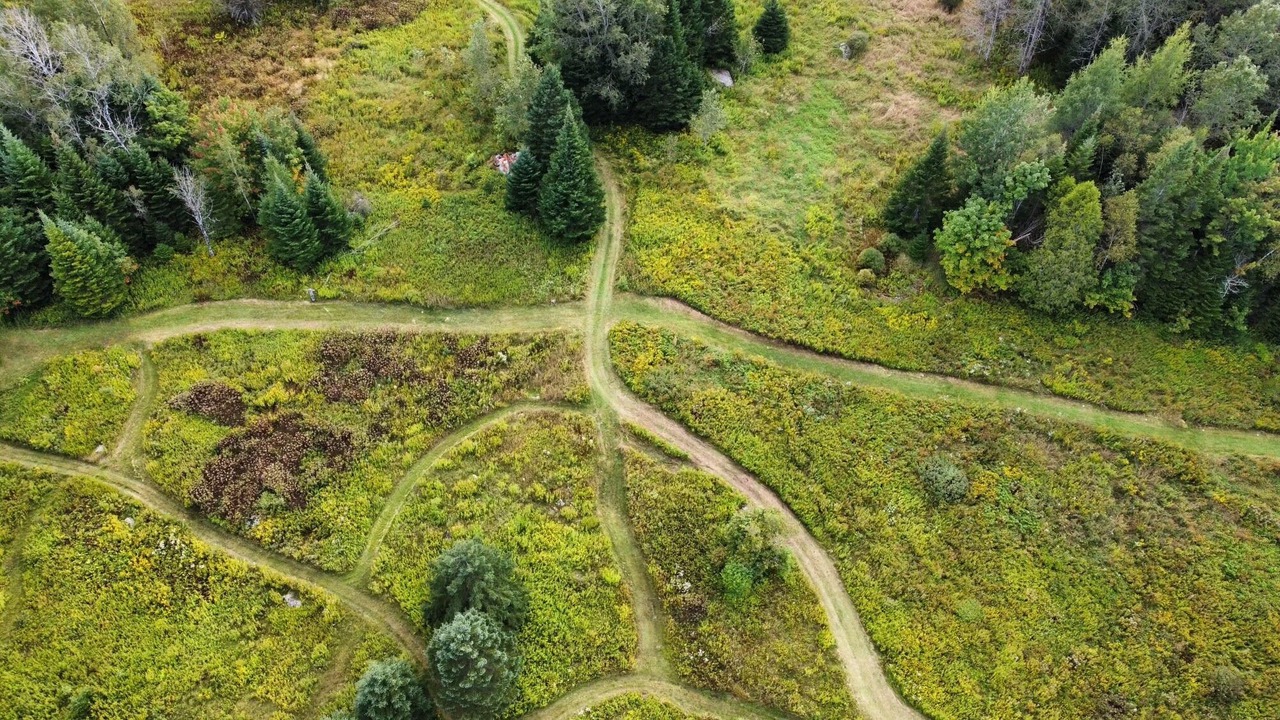 Photo of Outdoor in Sainte-Adele