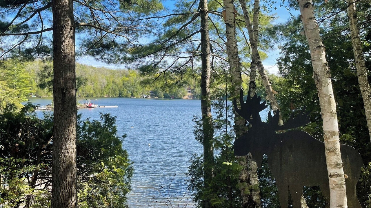 Photo of Others in Minden Hills