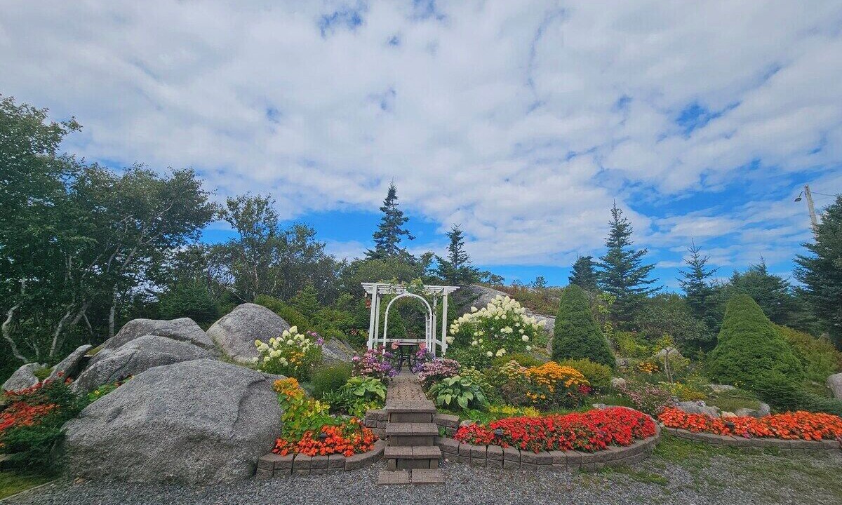 Photo of Outdoor in Terence Bay