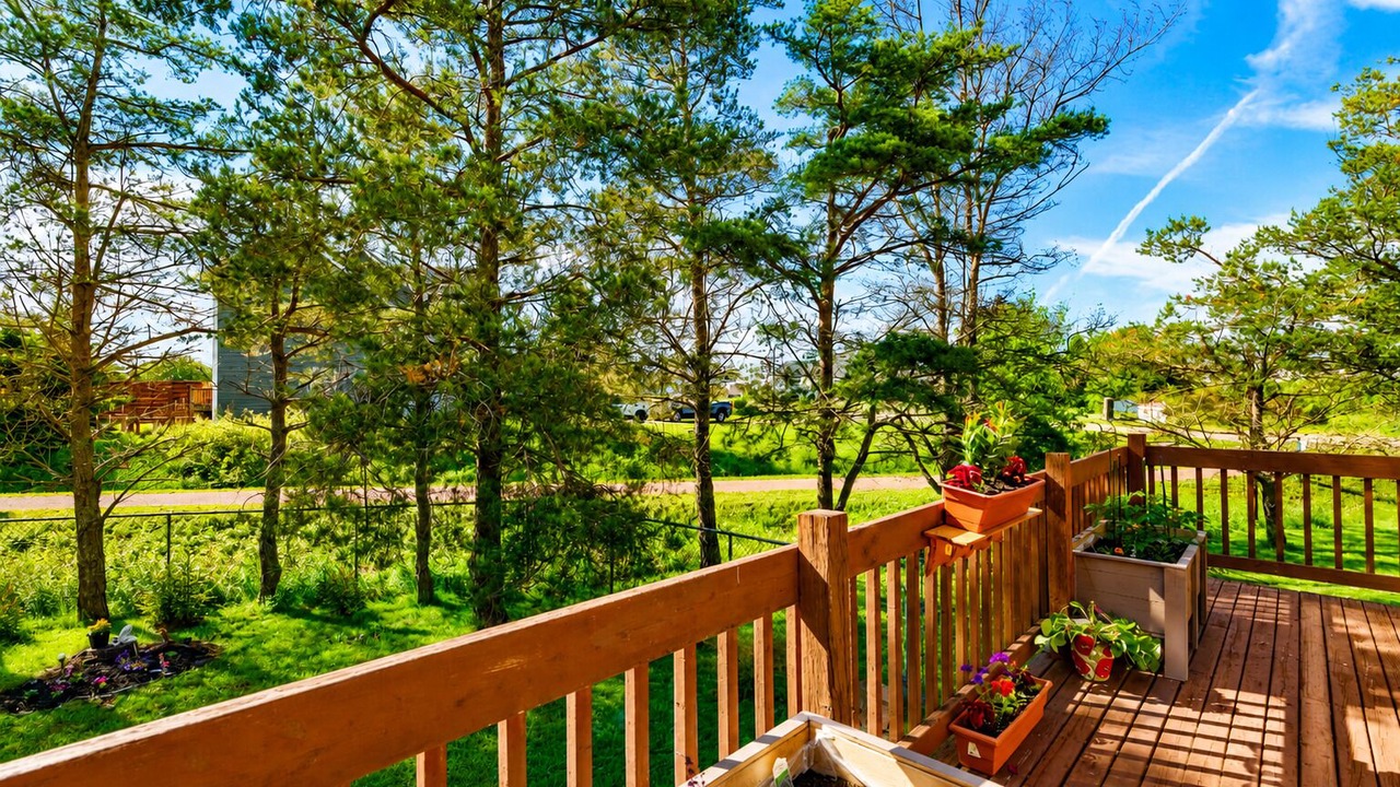 Photo of Outdoor in Summerside