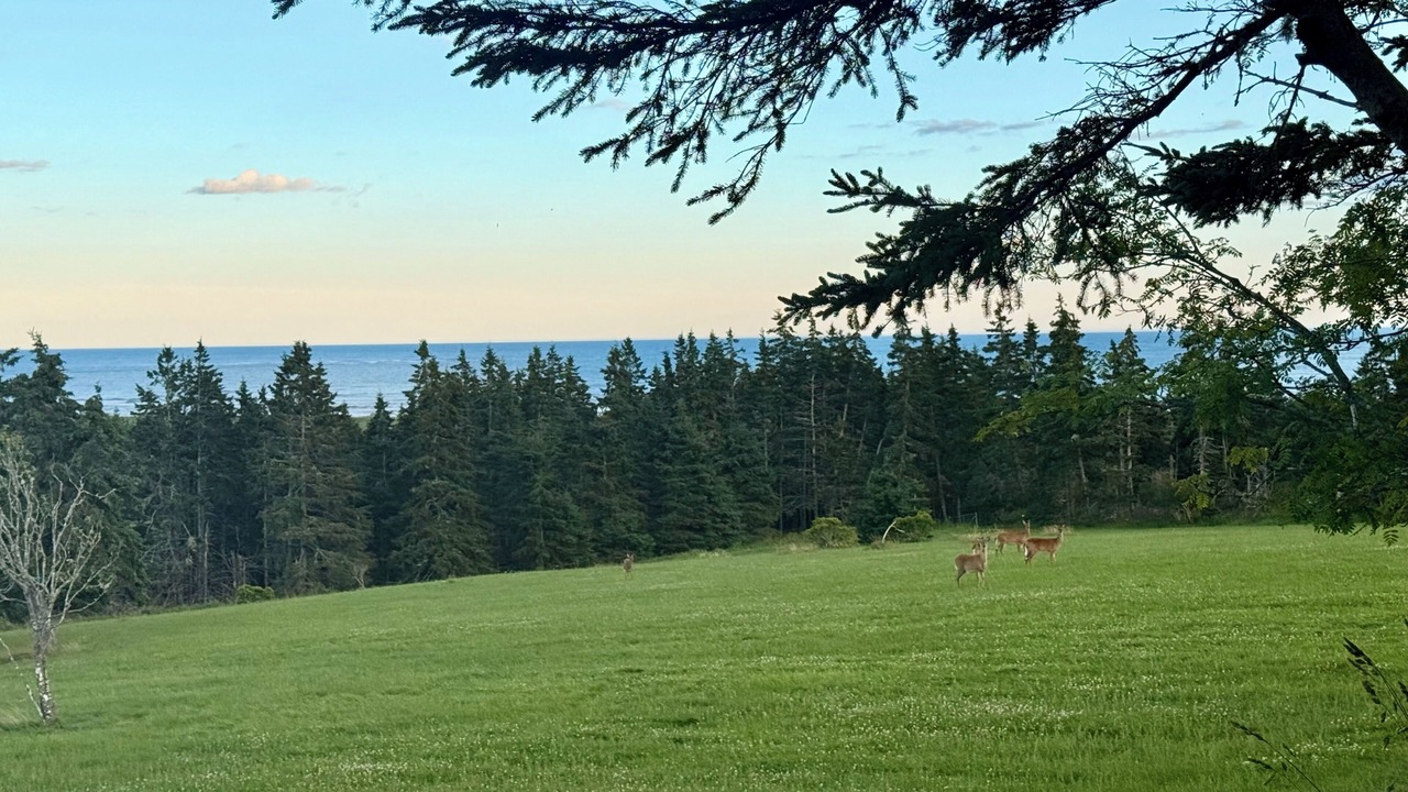Photo of Others in Lawrencetown