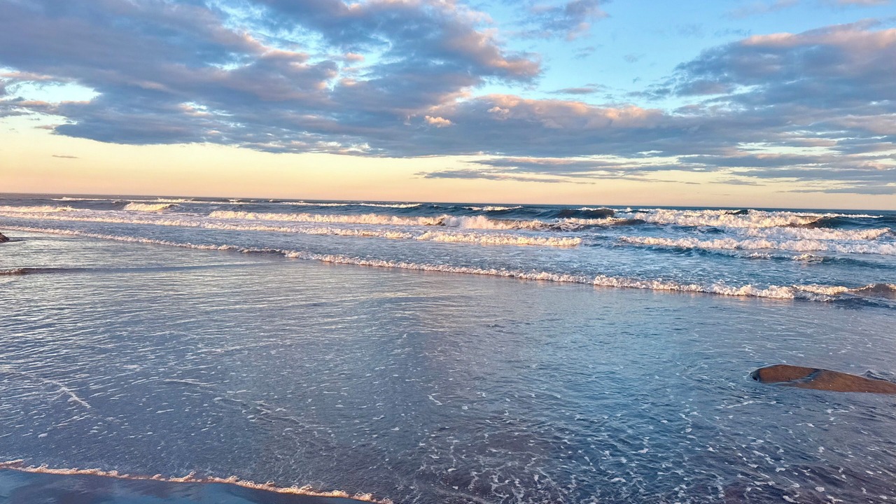 Photo of Others in Lawrencetown