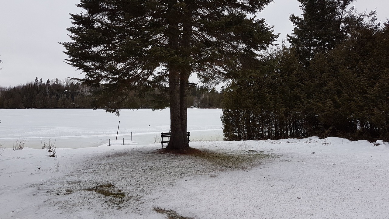 Photo of Others in Wentworth-Nord