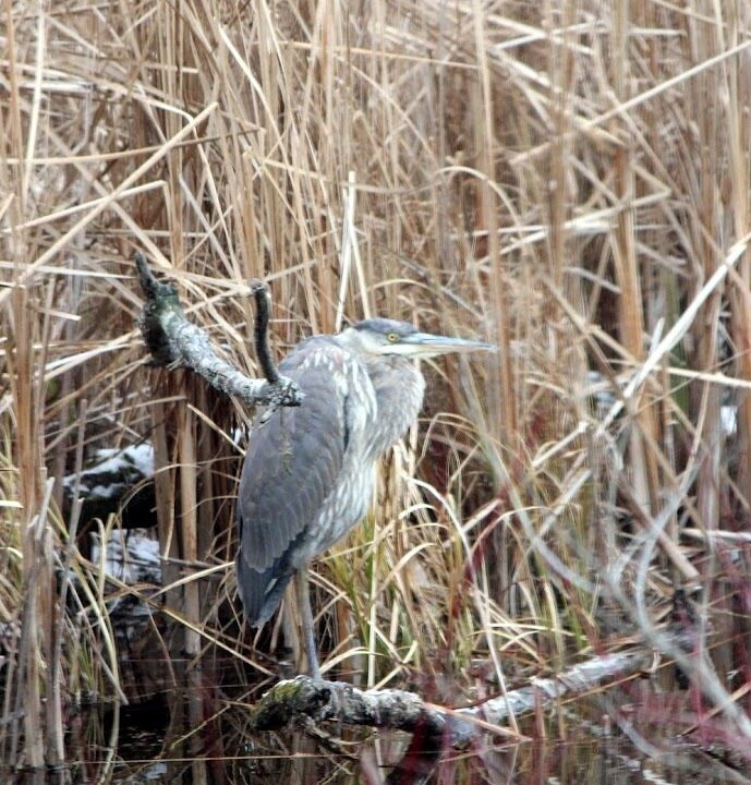Photo of Others in Westport