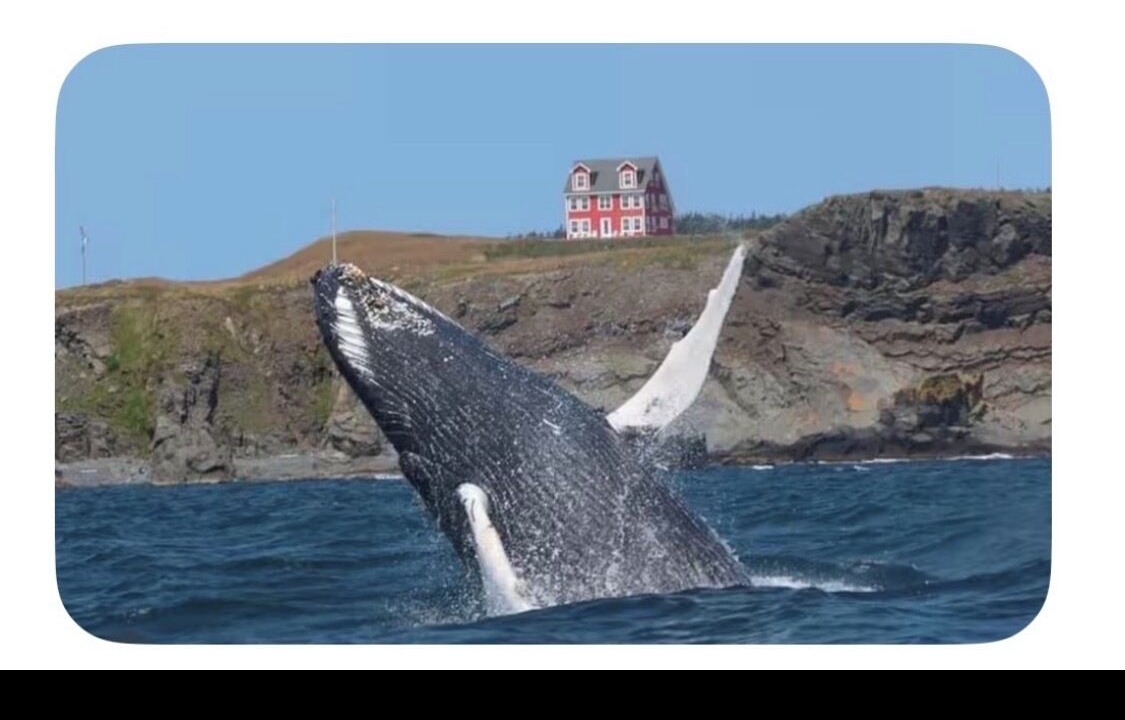 Photo of Others in Terra Nova