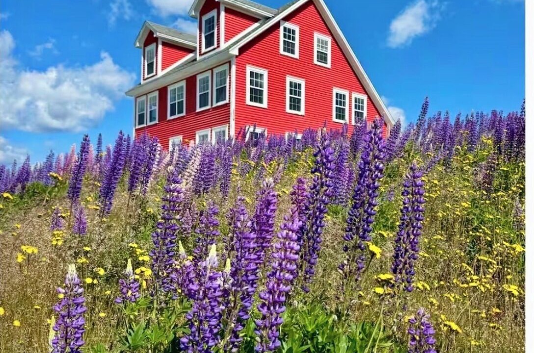 Photo of Others in Terra Nova