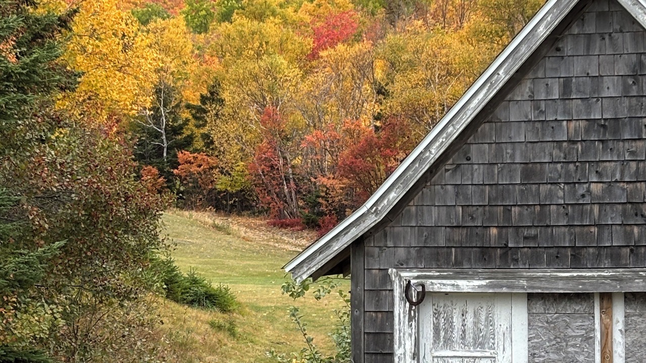 Photo of Outdoor in Aspy Bay