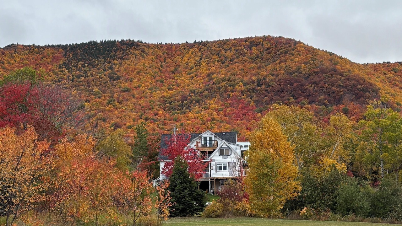 Photo of Outdoor in Aspy Bay