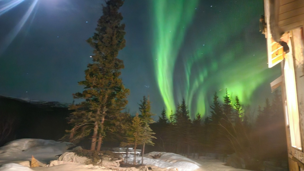 Photo of Others in Whitehorse