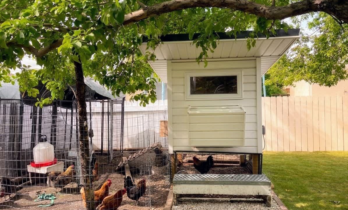 Photo of Outdoor in Northwest Calgary