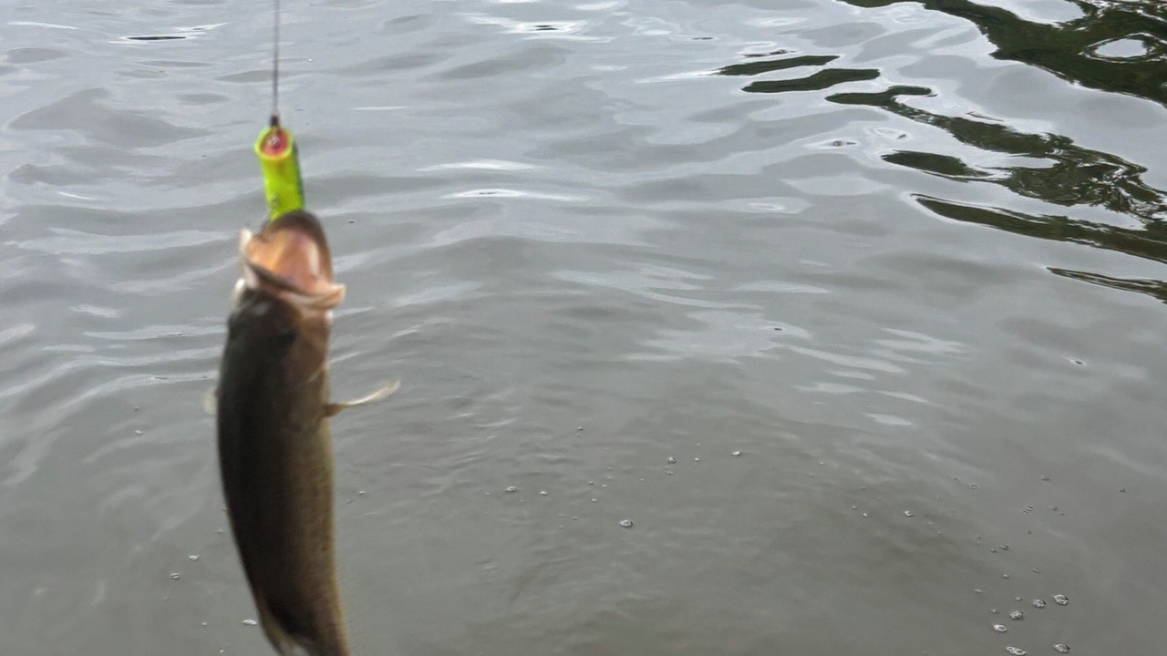Photo of Others in Rideau Lakes