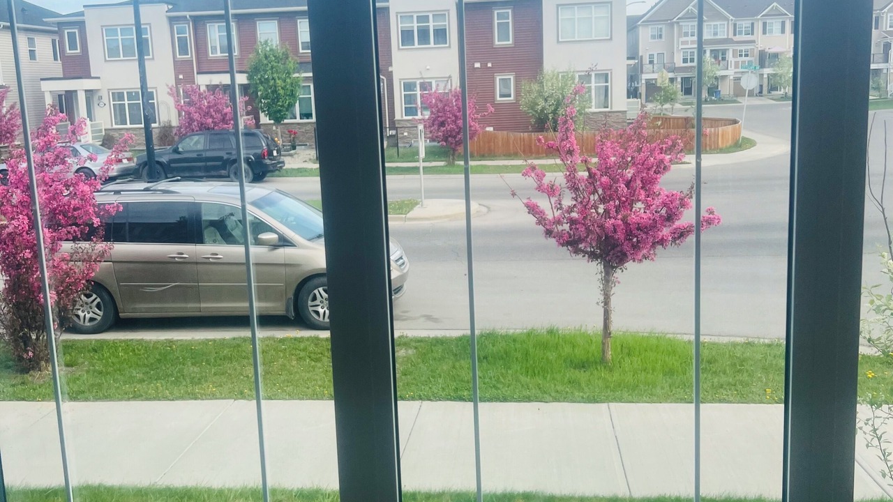 Photo of Others in Calgary