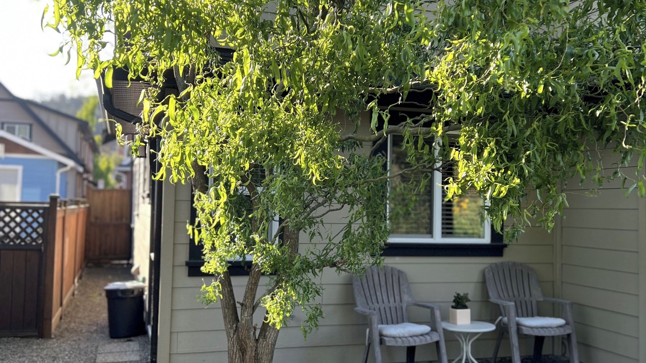 Photo of Patio Balcony in Langford