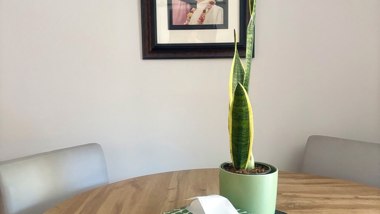Photo of Others in Shaughnessy