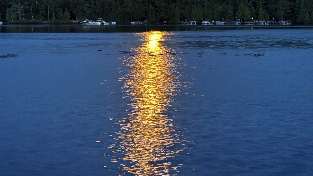 Photo of Others in Trent Lakes